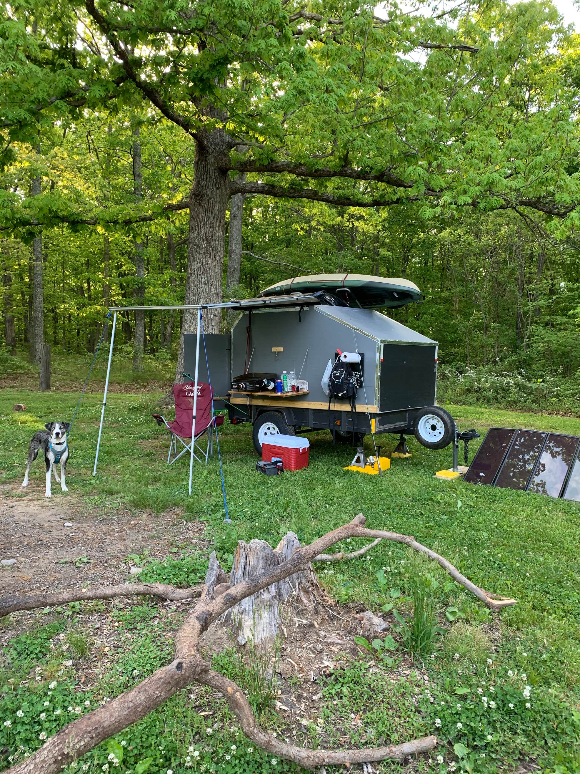 Sawmill Lake Campsite The Dyrt