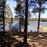 Review photo of White Horse Lake Campground by Daniel L., June 2, 2018