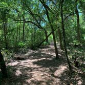 Review photo of Lake Griffin State Park Campground by jessica O., May 9, 2021