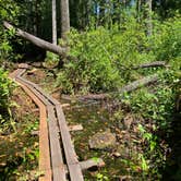 Review photo of Lake Griffin State Park Campground by jessica O., May 9, 2021