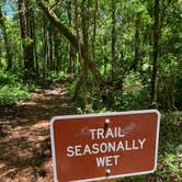 Review photo of Lake Griffin State Park Campground by jessica O., May 9, 2021