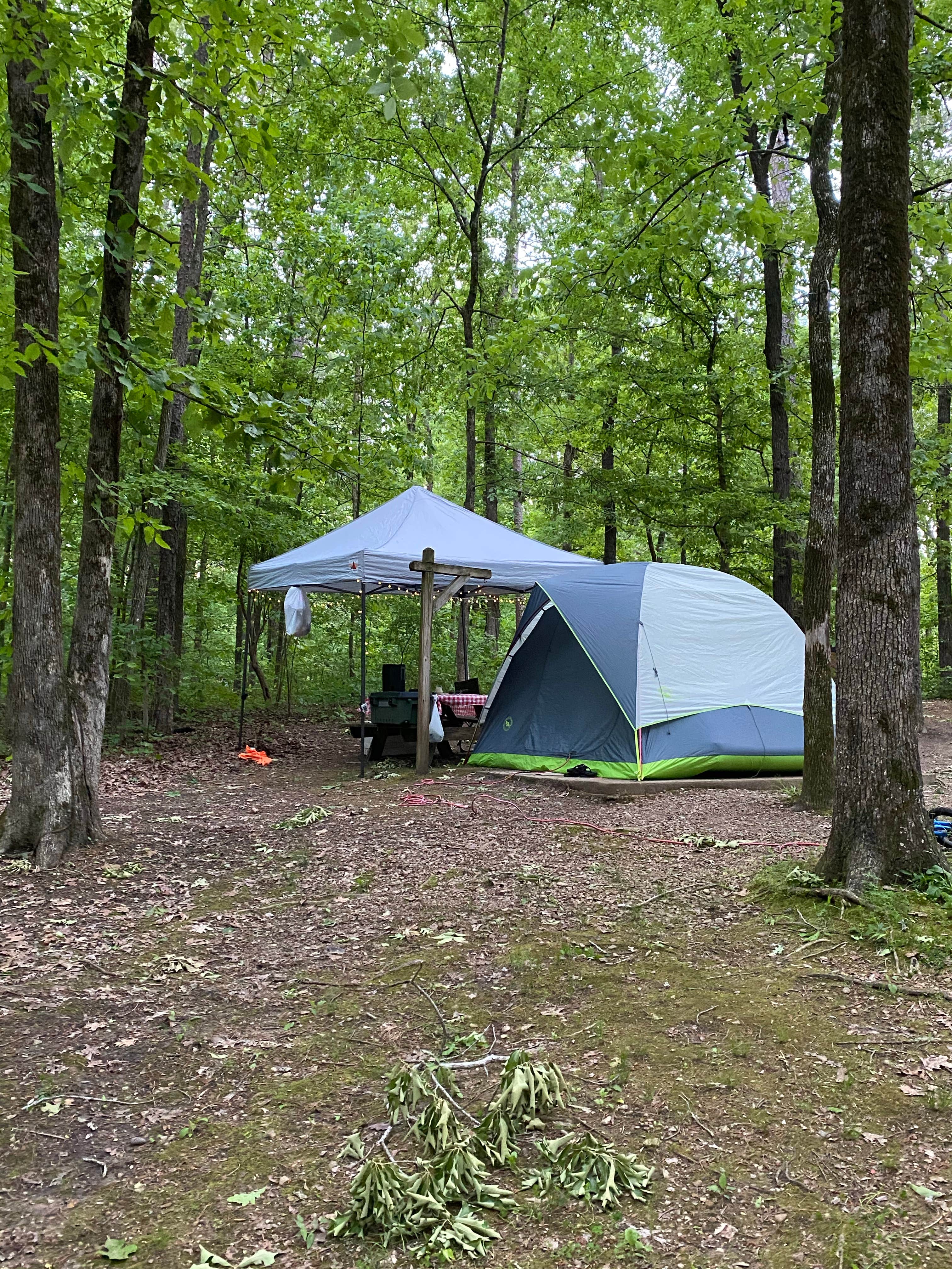 Stacy G.'s photo at Pickwick Landing State Park Campground near Savannah, TN