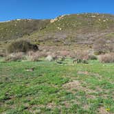 Review photo of Morefield Campground — Mesa Verde National Park by Steve W., May 9, 2021