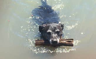 eric O.'s photo of camping with pets at BLM Gerber Reservoir Campground near Lakeview, OR