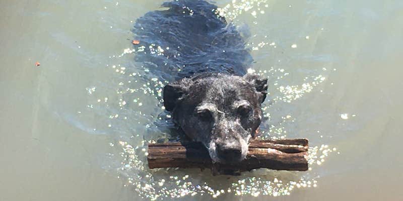Camper submitted image from BLM Gerber Reservoir Campground