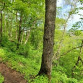 Review photo of Wyalusing State Park Campground by Amber C., May 9, 2021