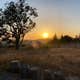 Camp Arroyo Grande