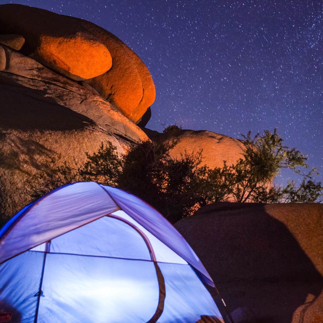 Jumbo Rocks Campground Camping The Dyrt