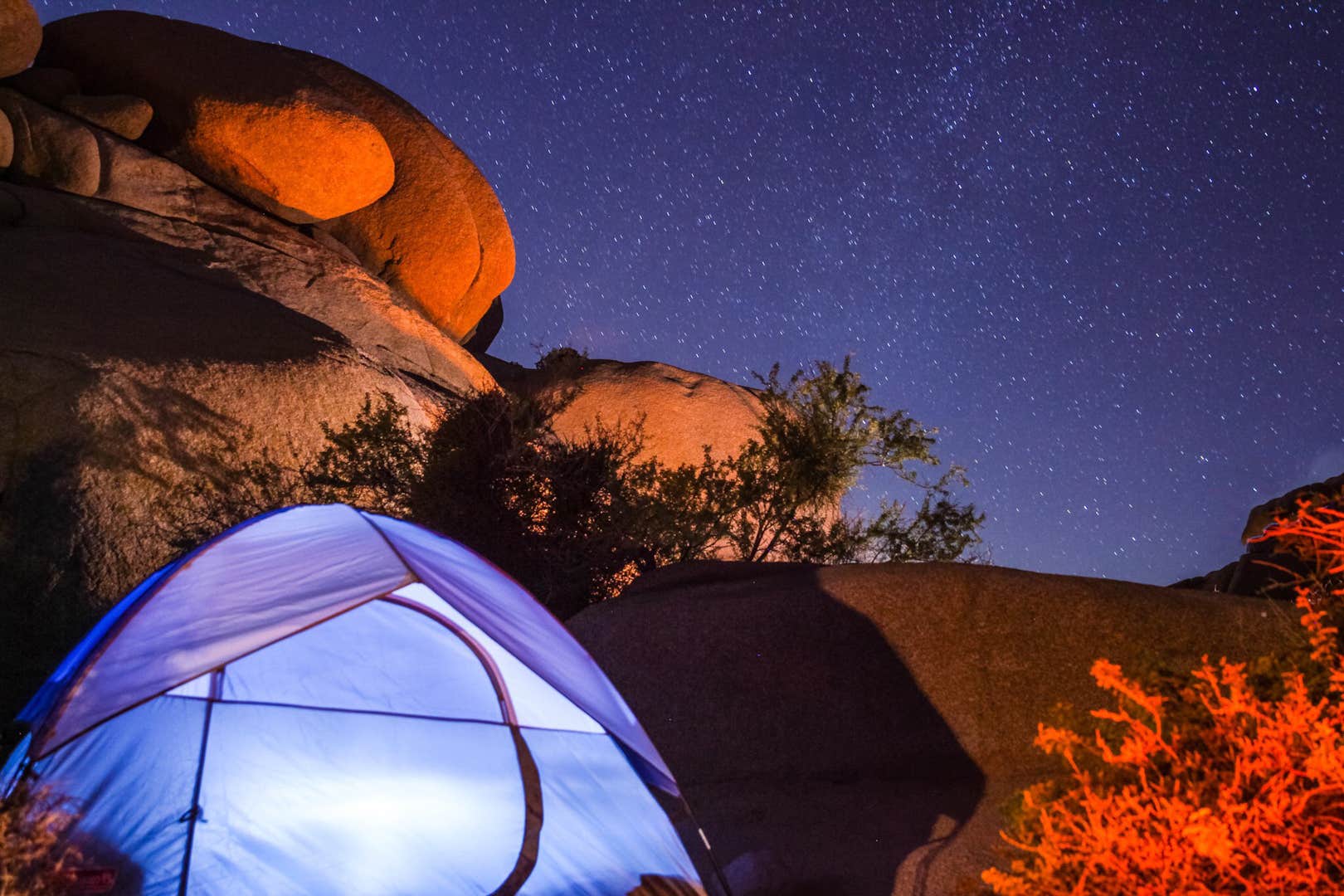 Camper submitted image from Jumbo Rocks Campground — Joshua Tree National Park - 4