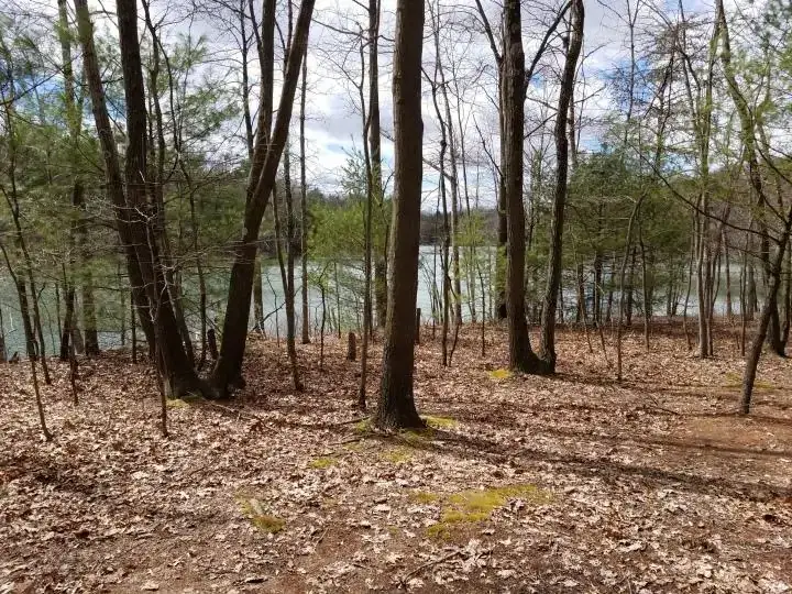 Camper-submitted photo at Lake Heron Retreat near Duncannon, PA
