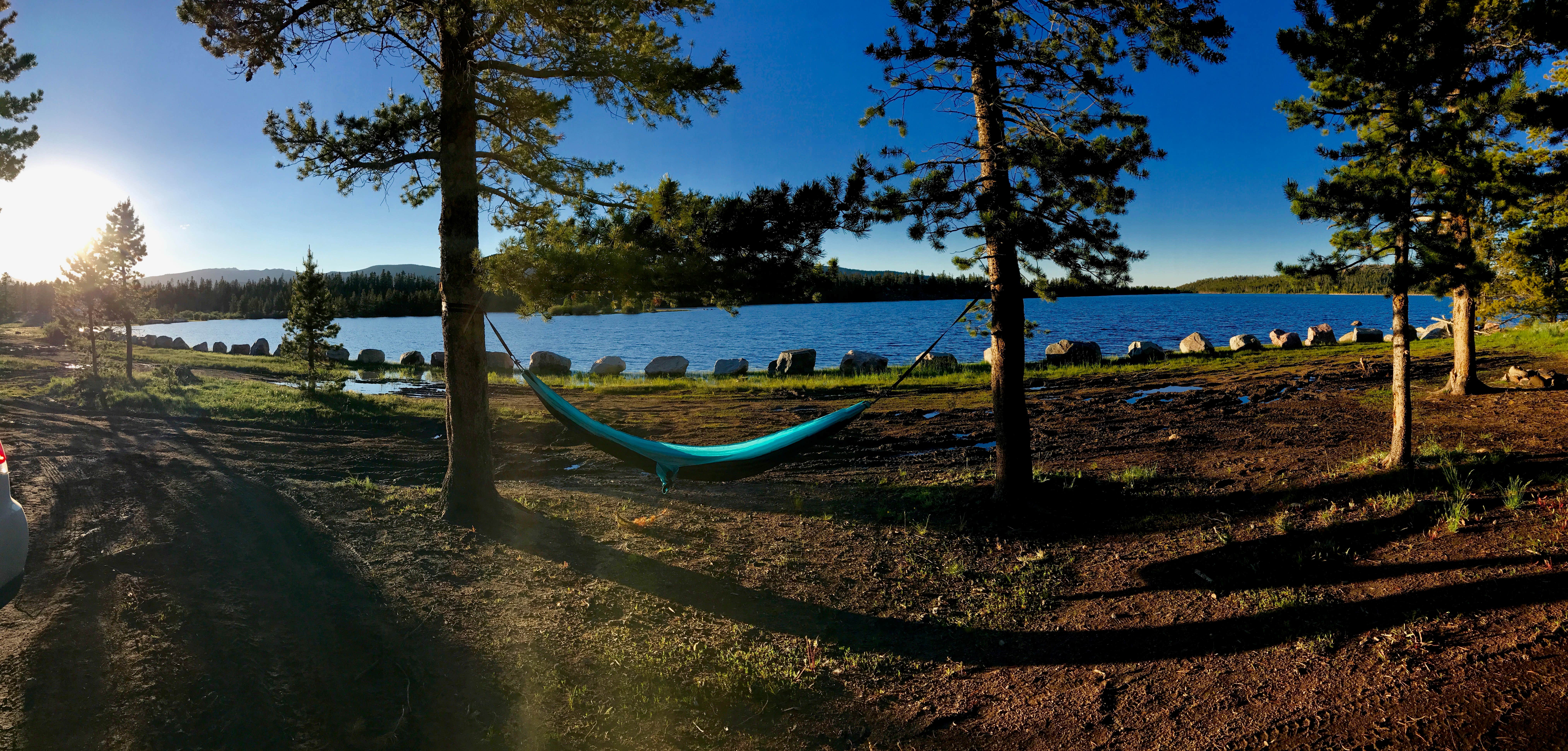 Great place to put a hammock