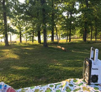 Camper-submitted photo from Sequoyah Bay Marina and Cabins — Sequoyah Bay State Park