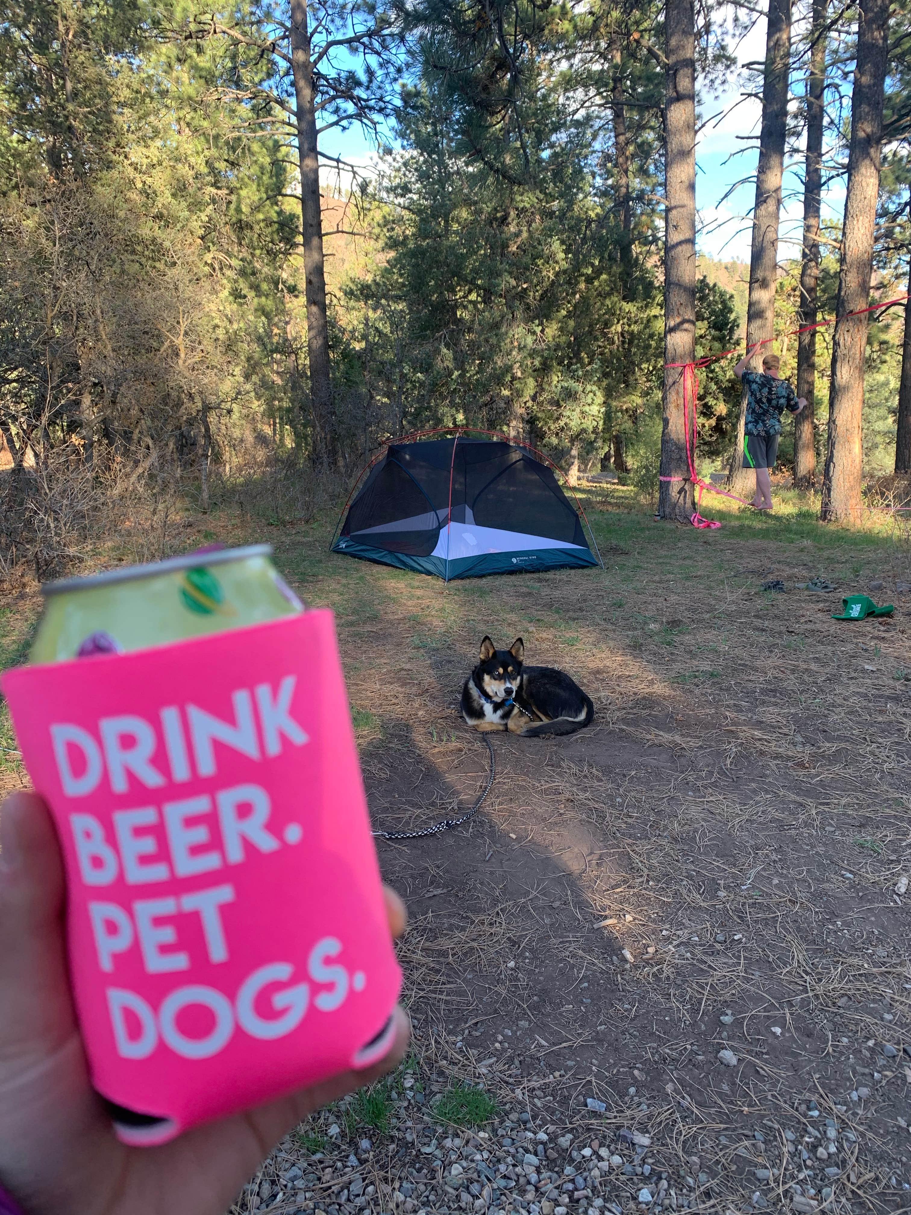 Toni  K.'s photo of camping with pets at Lower Hermosa Campground near San Juan National Forest