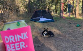 Toni K.'s photo at Lower Hermosa Campground near San Juan National Forest