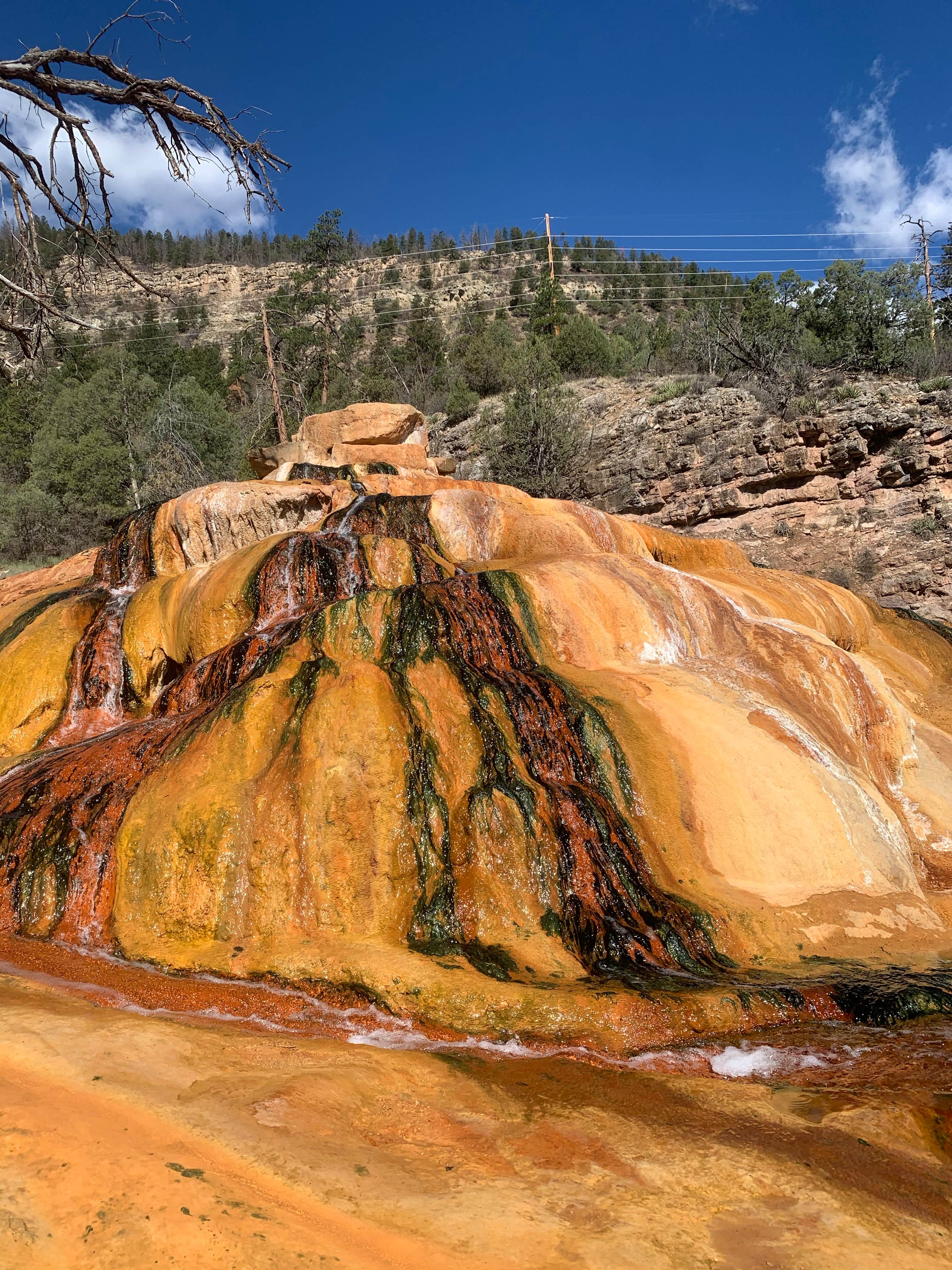 Escape To The Enchanting Lower Hermosa Campground: Your Colorado Adventure Awaits!