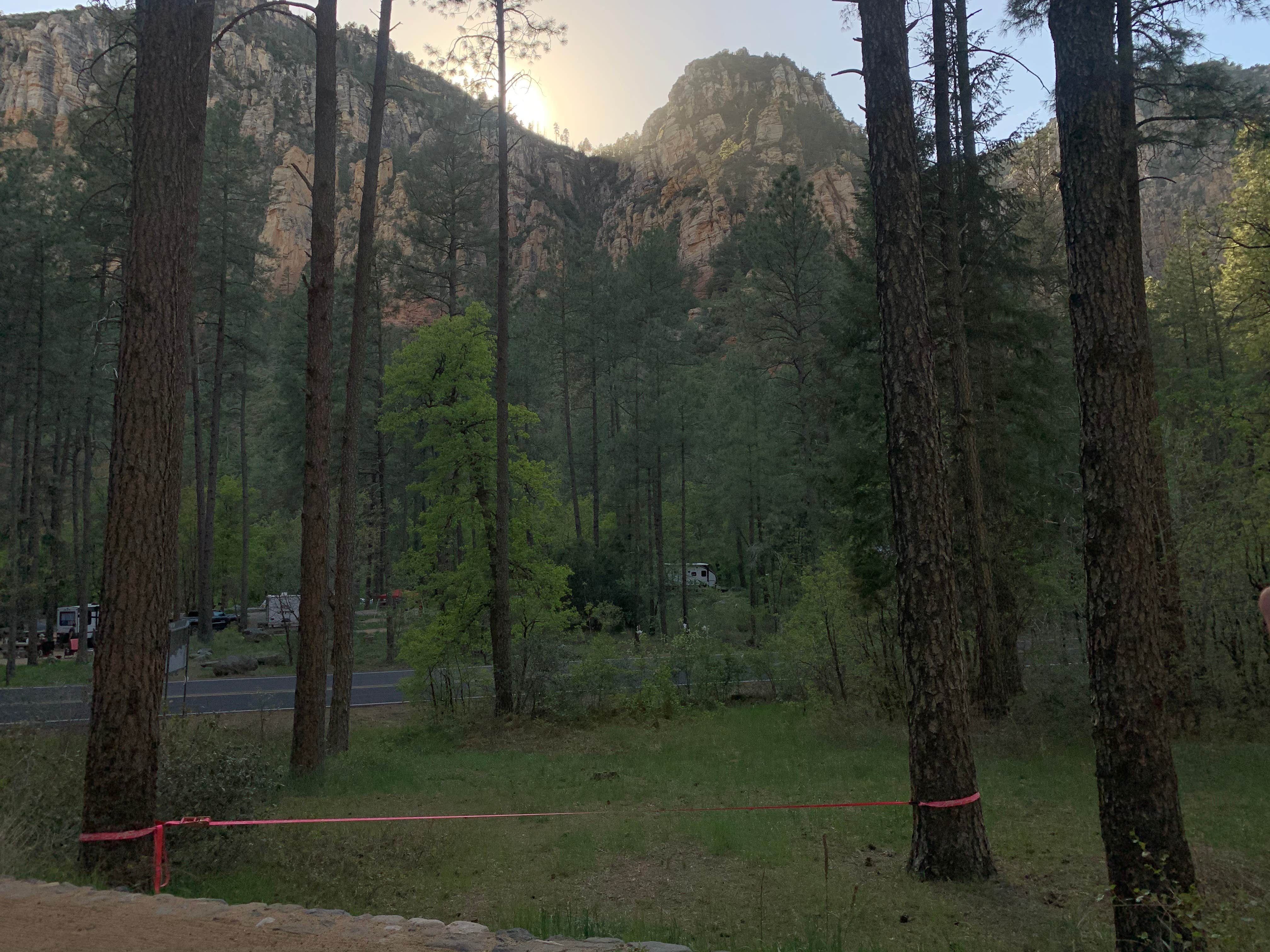 View All