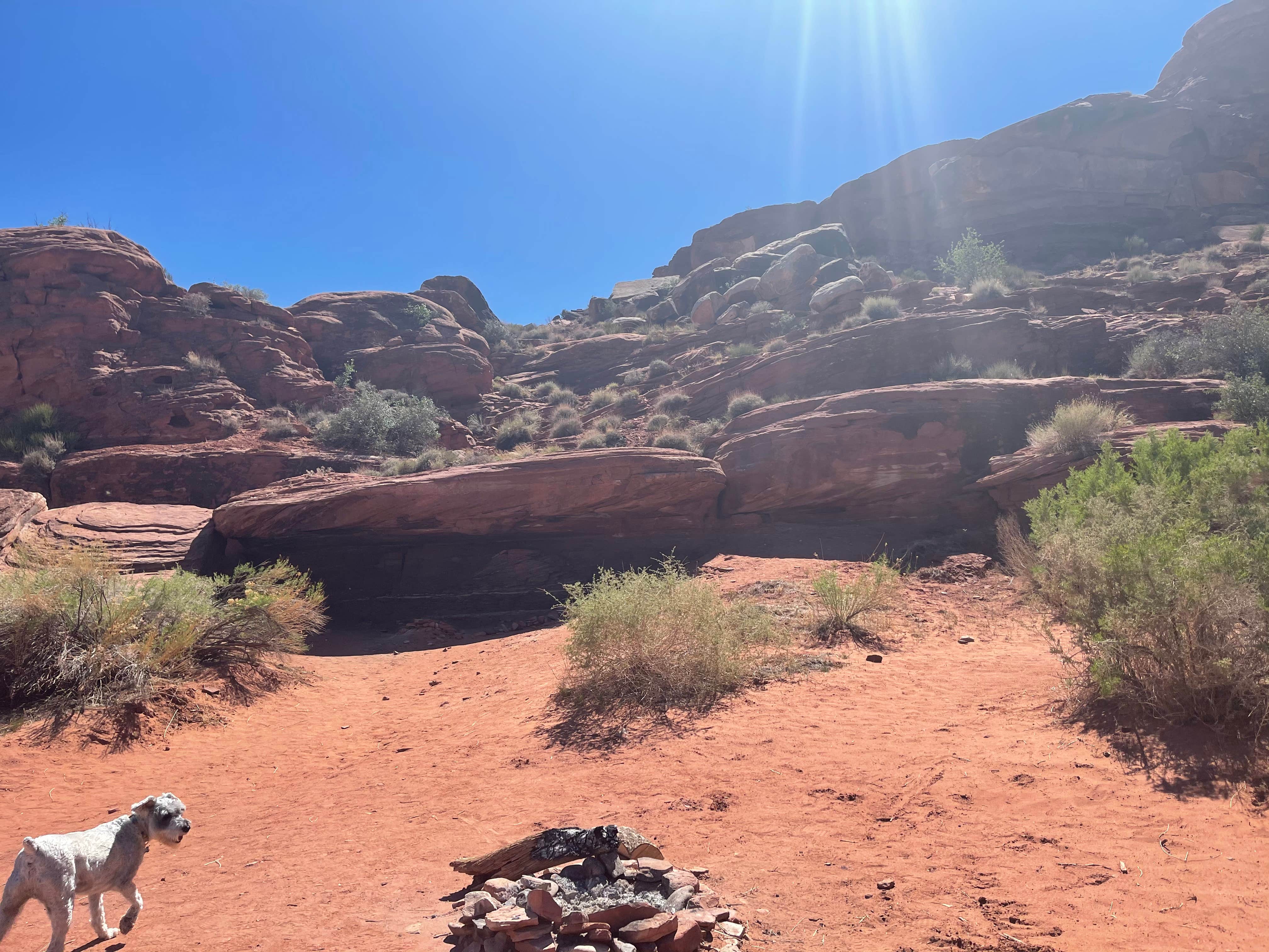 Camping near Monticello Lake: Indian Creek Recreation Area, Monticello, Utah