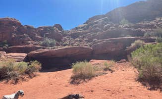 Jessica's photo of camping with pets at Indian Creek Recreation Area near Blanding, UT