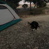 Review photo of Sweetwater Summit Regional Park by Toni  K., May 9, 2021