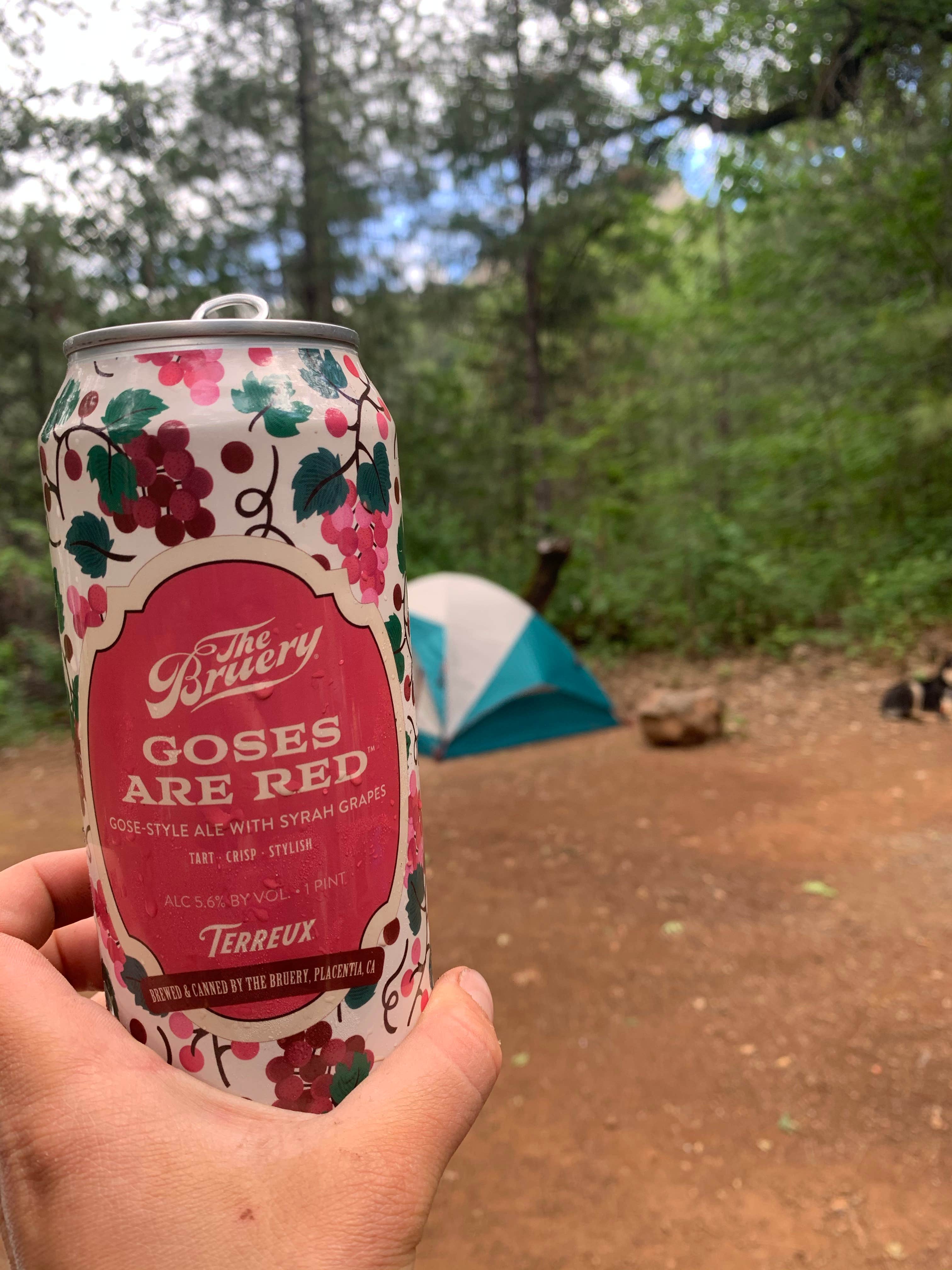 Toni  K.'s photo at Shasta National Forest Moore Creek Campground near Lakehead, CA