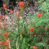 Review photo of Saddle Mountain Ranch by Toni  K., May 9, 2021