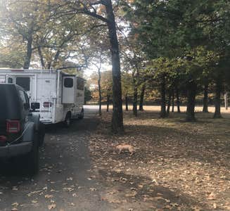 Camper-submitted photo from Ladybird Landing