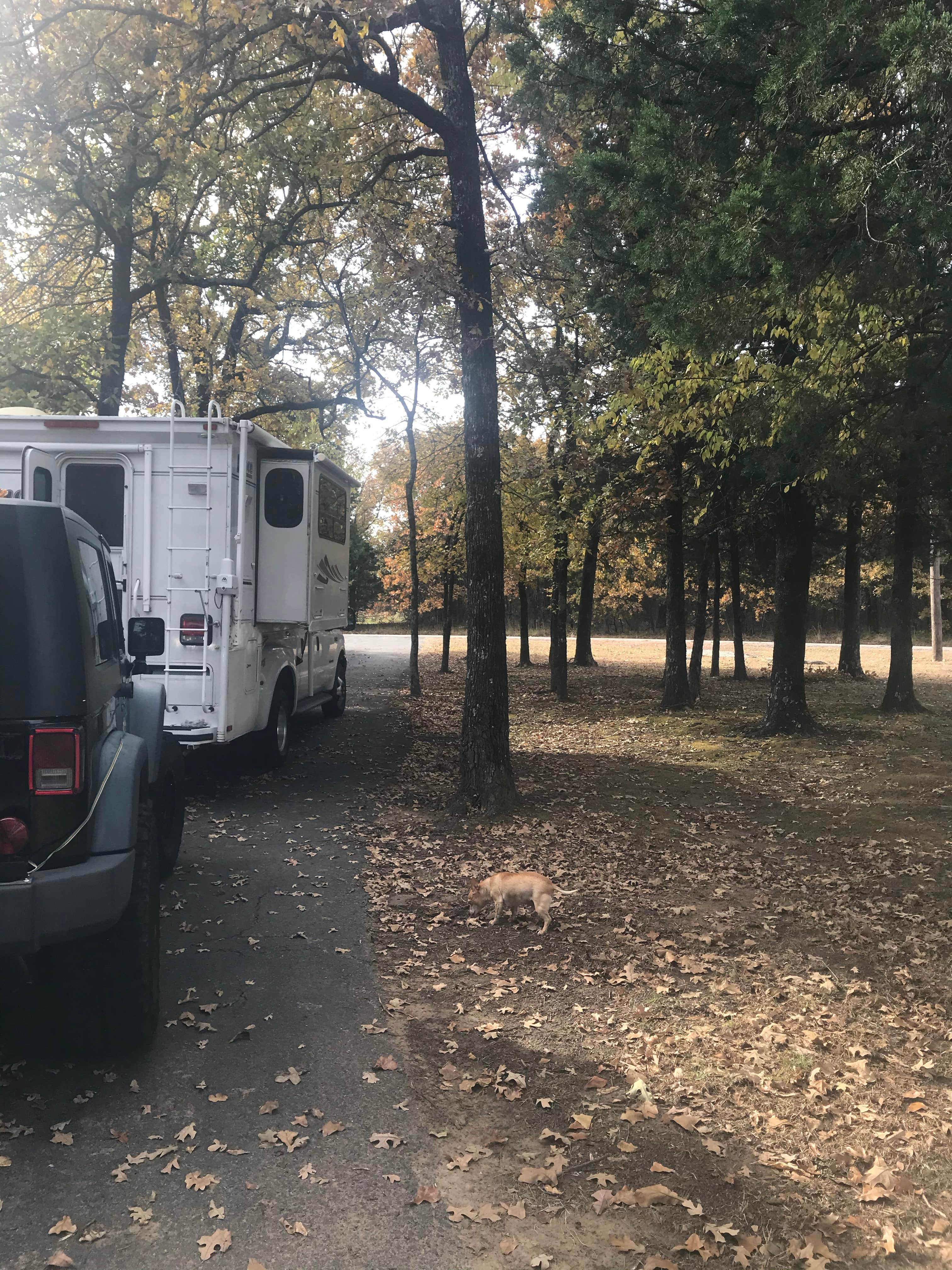 Camper submitted image from Ladybird Landing - 3