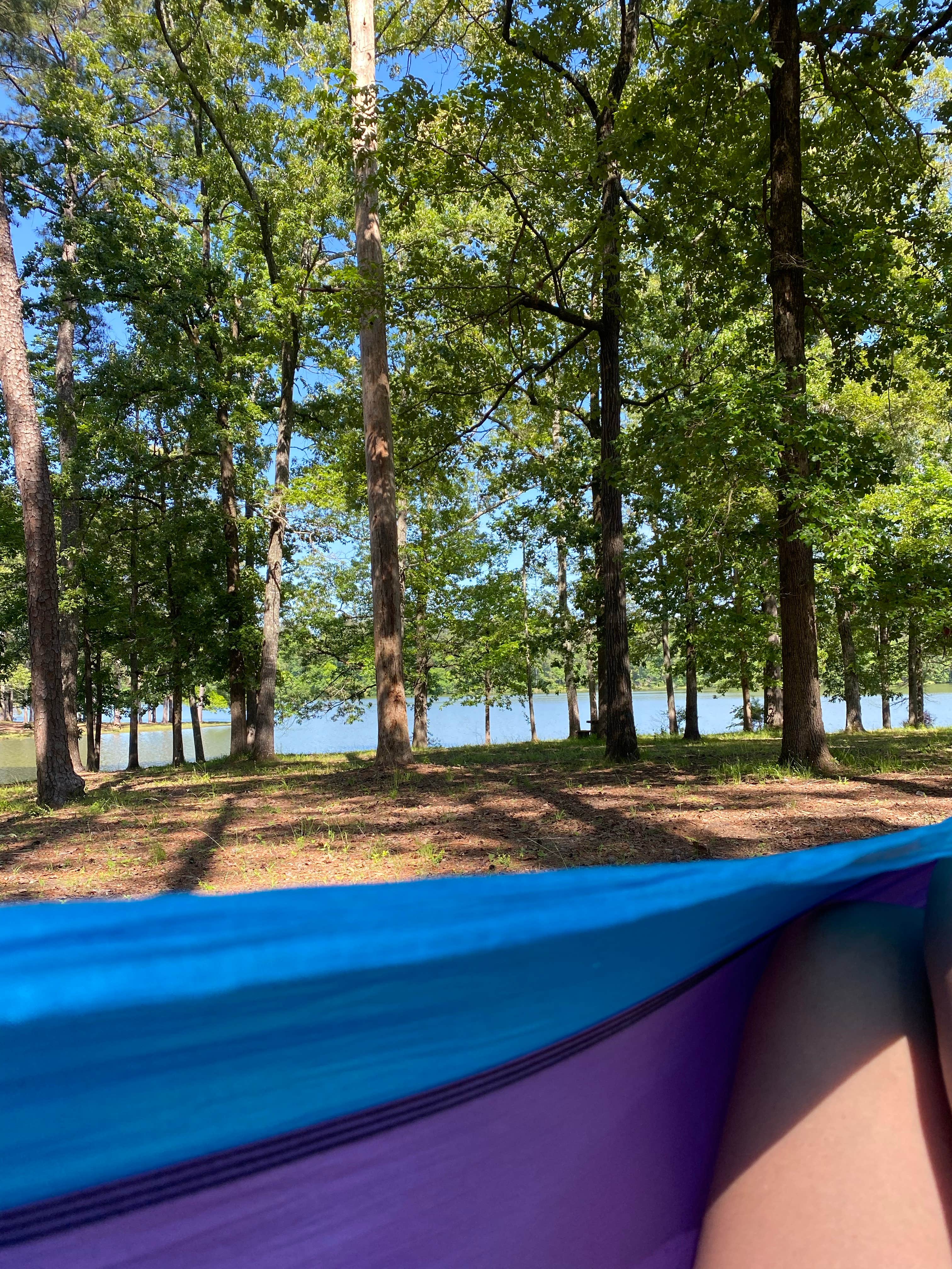 Devan T.'s photo at Lake Lowndes State Park Campground near Brooksville, MS