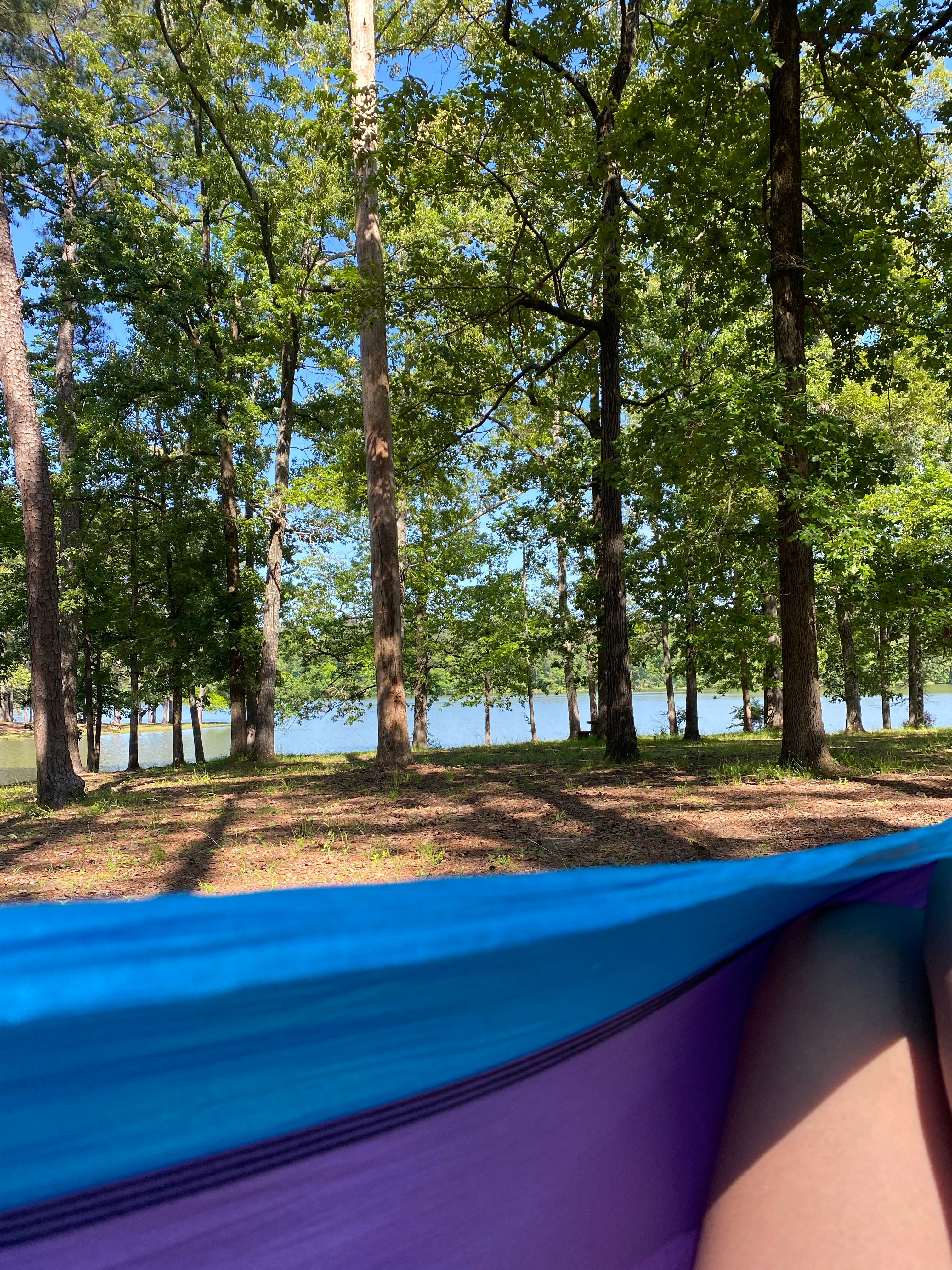 Camper submitted image from Lake Lowndes State Park Campground - 4