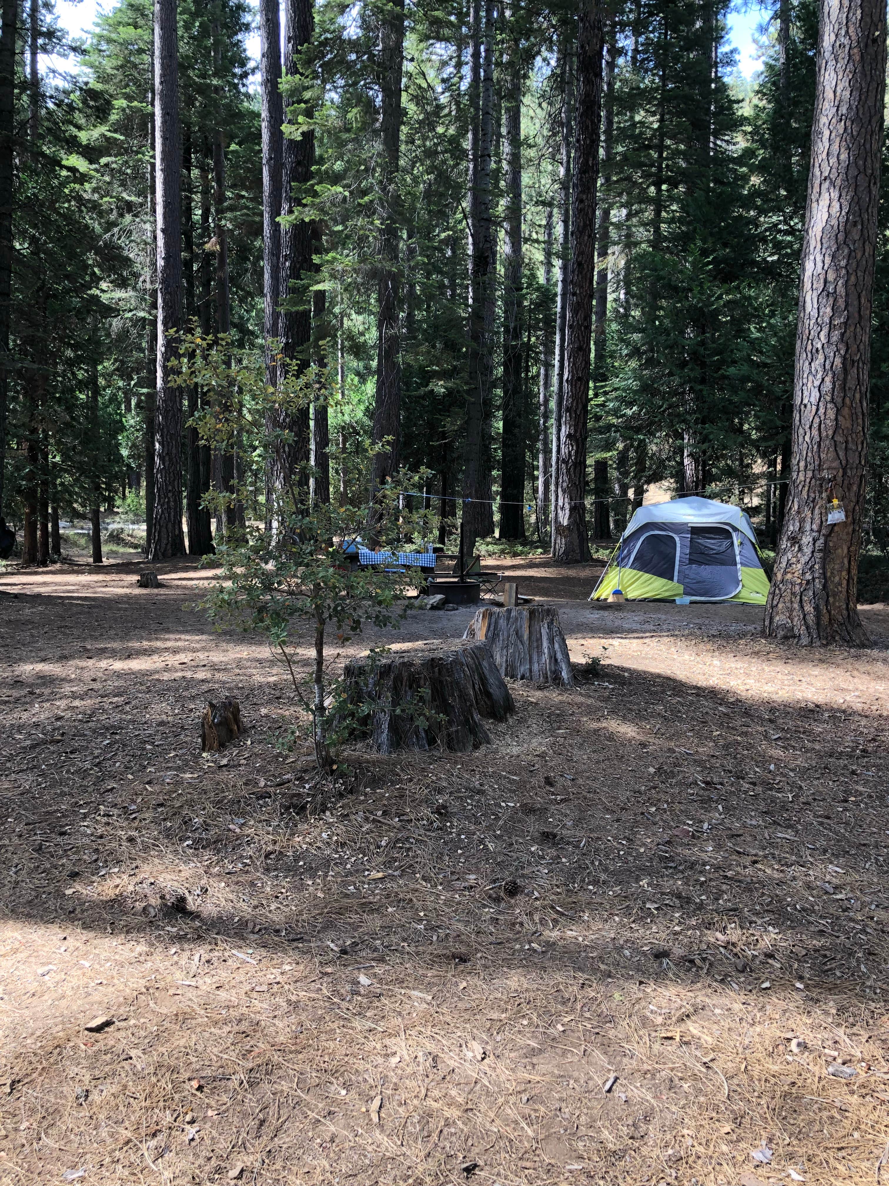 Carter B.'s photo of tent camping at Wakalu Hep Yo (wild River) Campground near Angels, CA