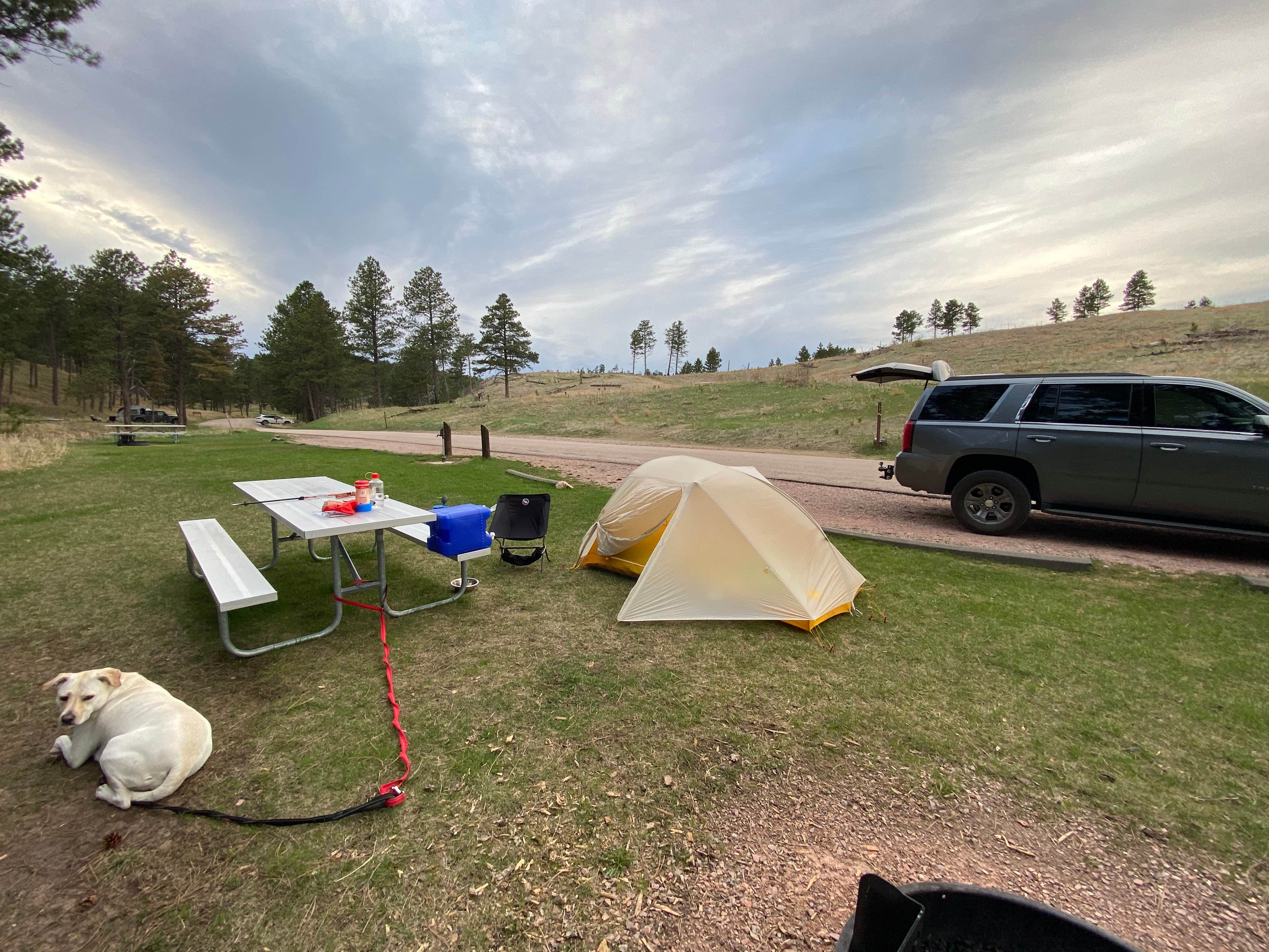 Angie G.'s photo at Elk Mountain Campground near Wind Cave National Park