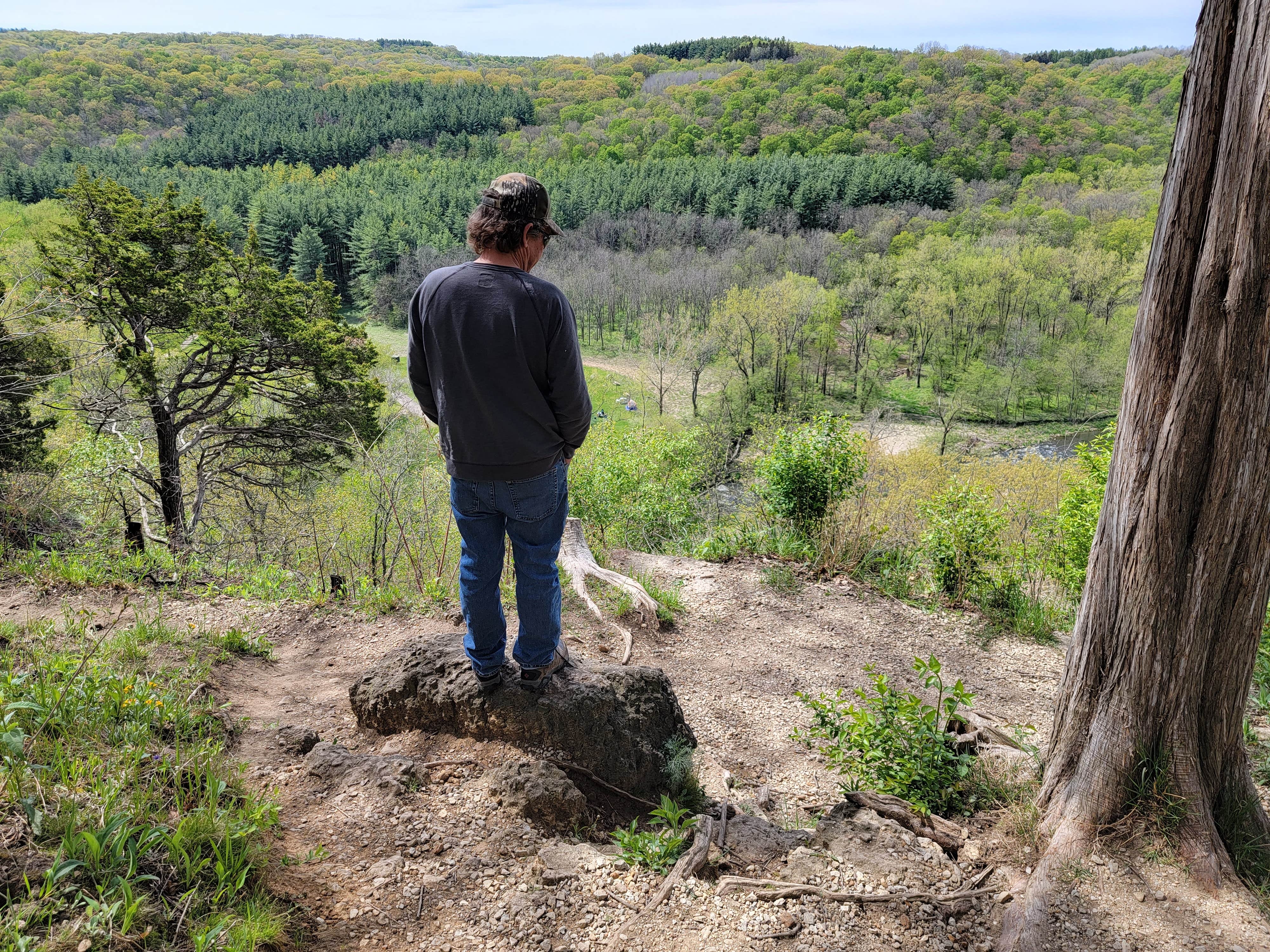 Camper submitted image from Big Paint Campground — Yellow River State Forest - 3