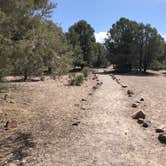 Review photo of Hickison Petroglyph by N I., May 9, 2021