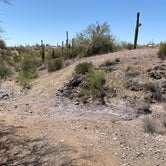 Review photo of Bulldog Canyon Dispersed Camping - South Entrance - CLOSED by Derek A., May 10, 2021