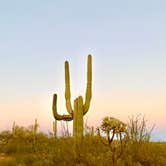 Review photo of Twin Peaks Campground — Organ Pipe Cactus National Monument by Shelby L., May 10, 2021