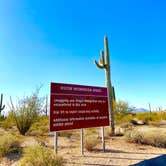 Review photo of Twin Peaks Campground — Organ Pipe Cactus National Monument by Shelby L., May 10, 2021