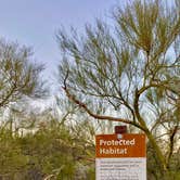 Review photo of Twin Peaks Campground — Organ Pipe Cactus National Monument by Shelby L., May 10, 2021