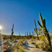 Review photo of Twin Peaks Campground — Organ Pipe Cactus National Monument by Shelby L., May 10, 2021