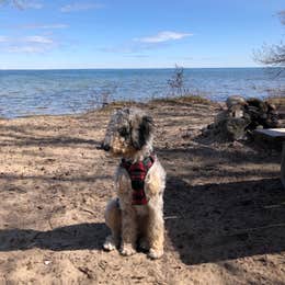 Negwegon State Park Campground