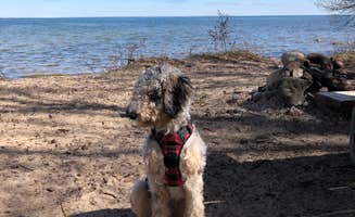 Jazmine's photo of camping with pets at Negwegon State Park Campground near Curran, MI