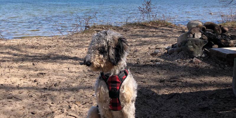 Camper submitted image from Negwegon State Park Campground