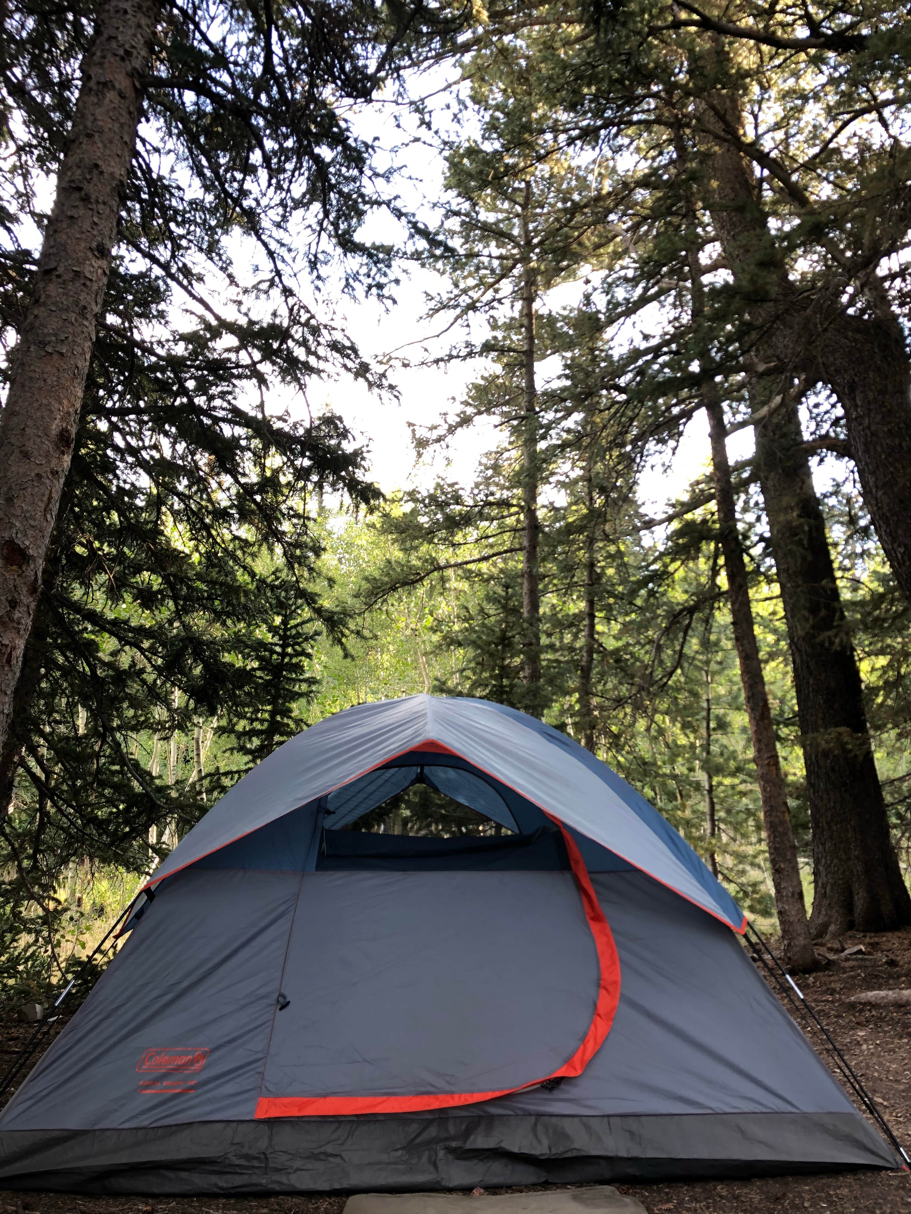 Shelby L.'s photo at Wheeler Peak Campground — Great Basin National Park near Garrison, UT