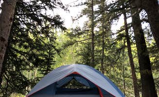 Shelby L.'s photo at Wheeler Peak Campground — Great Basin National Park near Great Basin National Park