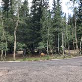 Review photo of Wheeler Peak Campground — Great Basin National Park by Shelby L., May 10, 2021