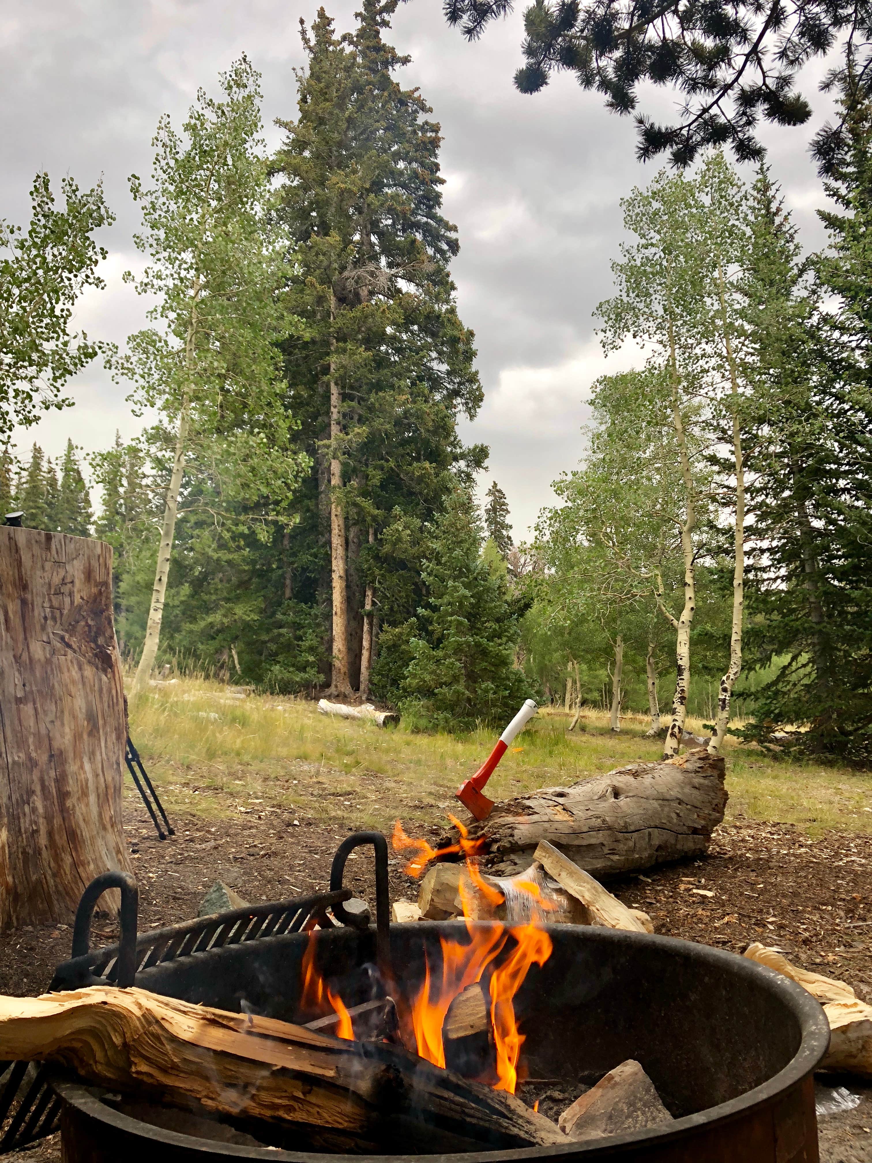 Shelby L.'s photo at Wheeler Peak Campground — Great Basin National Park near Great Basin National Park