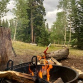 Review photo of Wheeler Peak Campground — Great Basin National Park by Shelby L., May 10, 2021