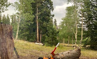 Shelby L.'s photo at Wheeler Peak Campground — Great Basin National Park near Great Basin National Park
