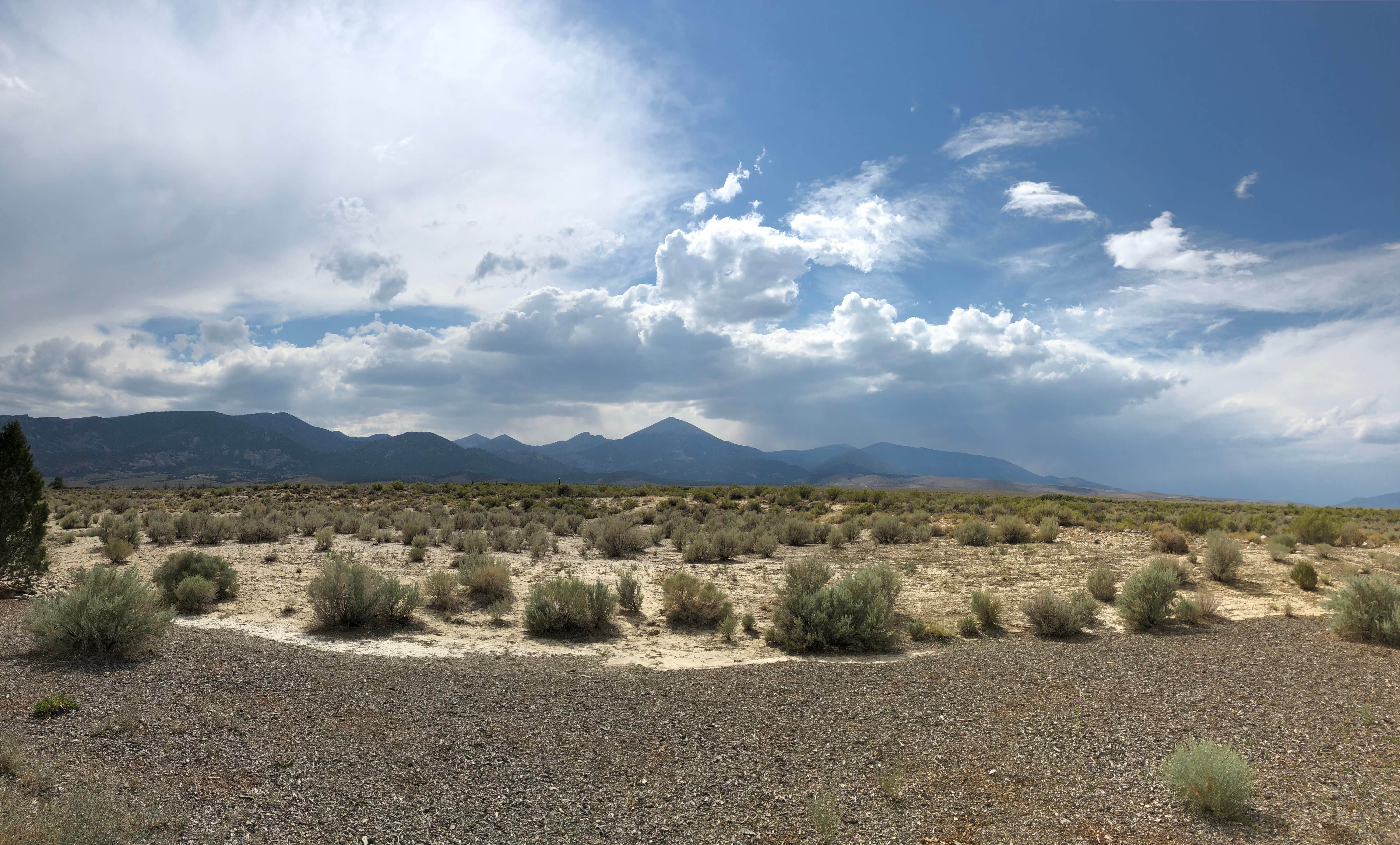 Camper submitted image from Wheeler Peak Campground — Great Basin National Park - 5