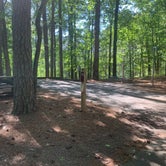 Review photo of Red Top Mountain State Park Campground by Diana H., May 10, 2021
