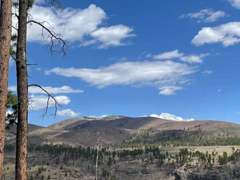 Ray & Terri F.'s photo of a dispersed camping area at Pajarito Springs (Dispersed) near Abiquiu Lake